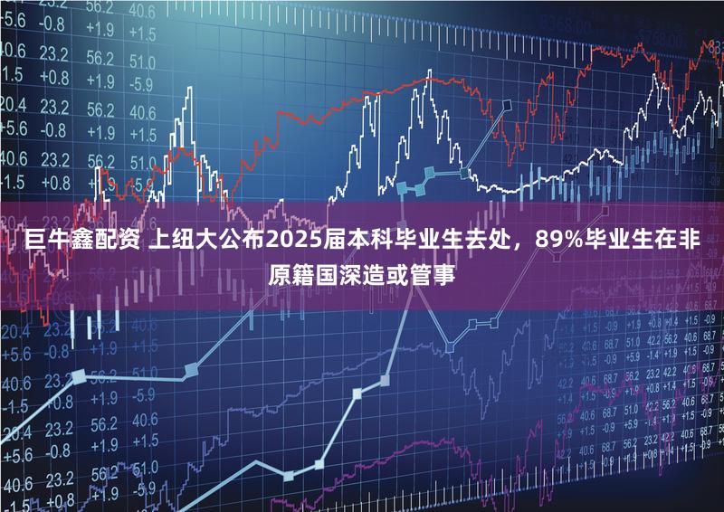 巨牛鑫配资 上纽大公布2025届本科毕业生去处，89%毕业生在非原籍国深造或管事
