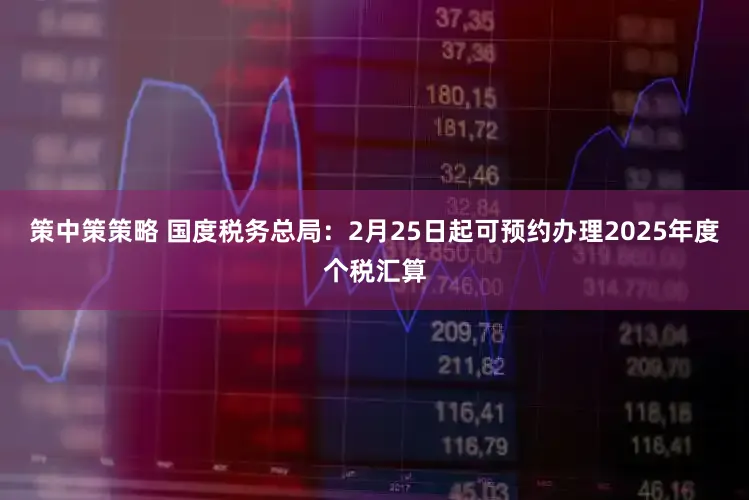 策中策策略 国度税务总局：2月25日起可预约办理2025年度个税汇算