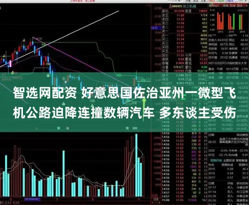 智选网配资 好意思国佐治亚州一微型飞机公路迫降连撞数辆汽车 多东谈主受伤