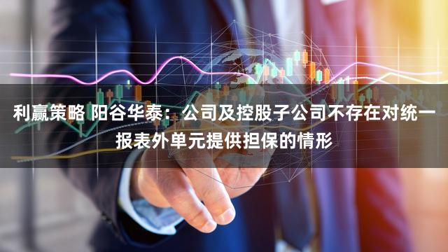 利赢策略 阳谷华泰：公司及控股子公司不存在对统一报表外单元提供担保的情形