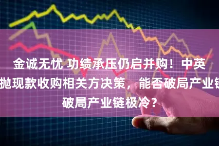 金诚无忧 功绩承压仍启并购！中英科技拟抛现款收购相关方决策，能否破局产业链极冷？