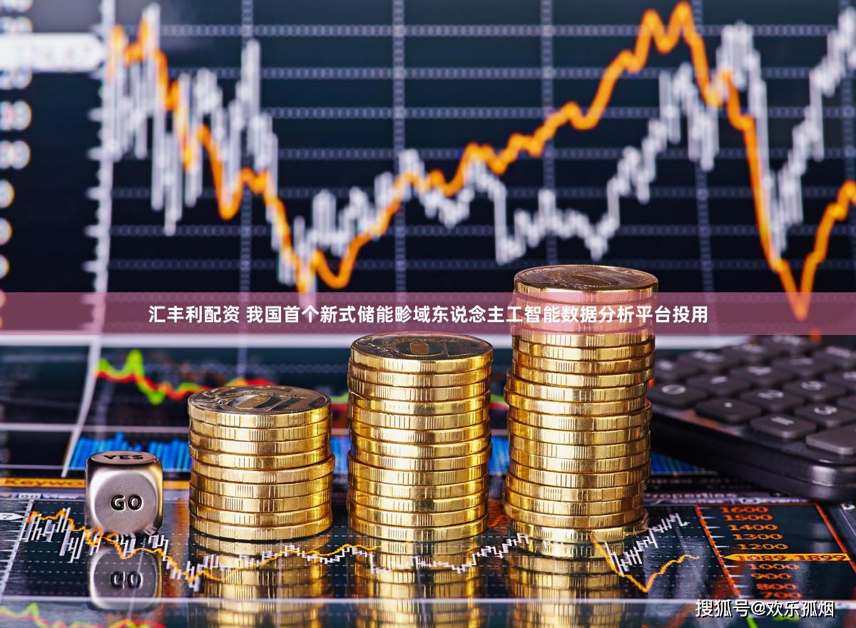 汇丰利配资 我国首个新式储能畛域东说念主工智能数据分析平台投用