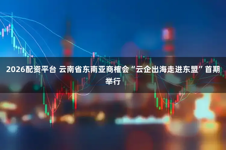2026配资平台 云南省东南亚商榷会“云企出海走进东盟”首期举行