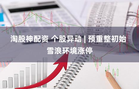 淘股神配资 个股异动 | 预重整初始 雪浪环境涨停