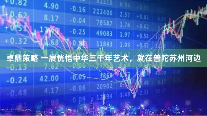 卓鼎策略 一展恍悟中华三千年艺术，就在普陀苏州河边