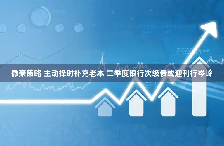 微豪策略 主动择时补充老本 二季度银行次级债或迎刊行岑岭