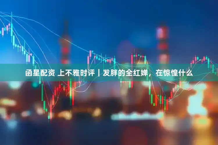 函星配资 上不雅时评｜发胖的全红婵，在惊惶什么