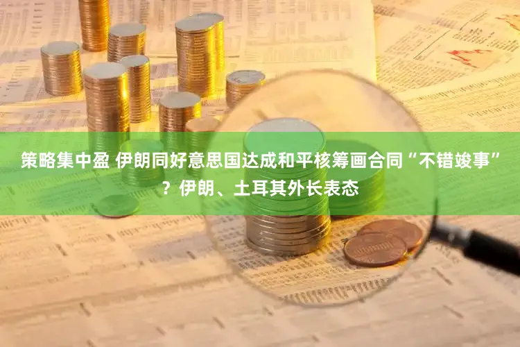 策略集中盈 伊朗同好意思国达成和平核筹画合同“不错竣事”？伊朗、土耳其外长表态