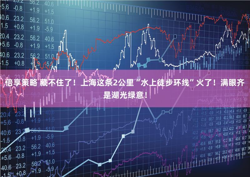 倍享策略 藏不住了！上海这条2公里“水上徒步环线”火了！满眼齐是湖光绿意！
