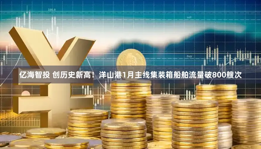 亿海智投 创历史新高！洋山港1月主线集装箱船舶流量破800艘次